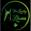 The Lucky Llama